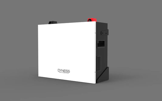 Dyness Lithium Battery A48100